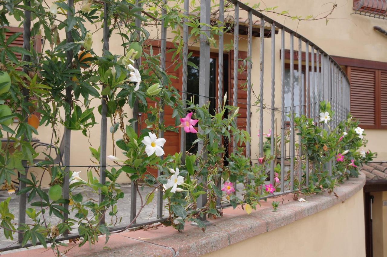 Apartmán Il Gufo Del Chianti Montespertoli Exteriér fotografie